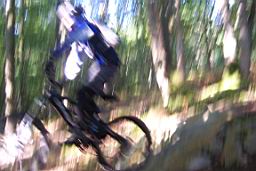 100_4009.JPG