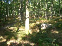 100_4010.MOV