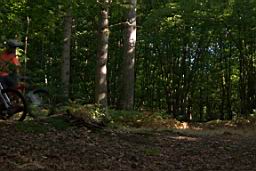 100_4013.JPG