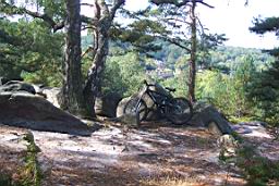 100_4019.JPG