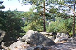 100_4020.JPG
