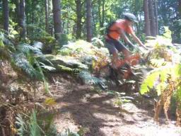 100_4023.MOV